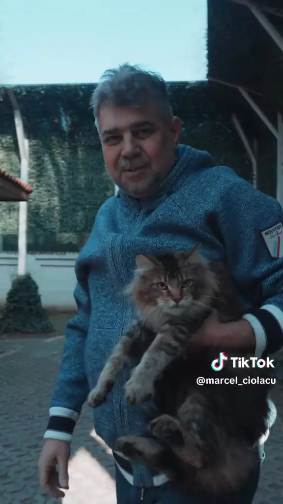 Marcel Ciolacu și-a salvat pisica Maine Coon din copac într-un hanorac Loro Piana de aproape 4000 de euro (7)
