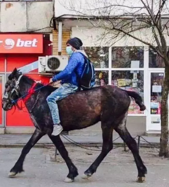 sergiu-taticul-calaret-5