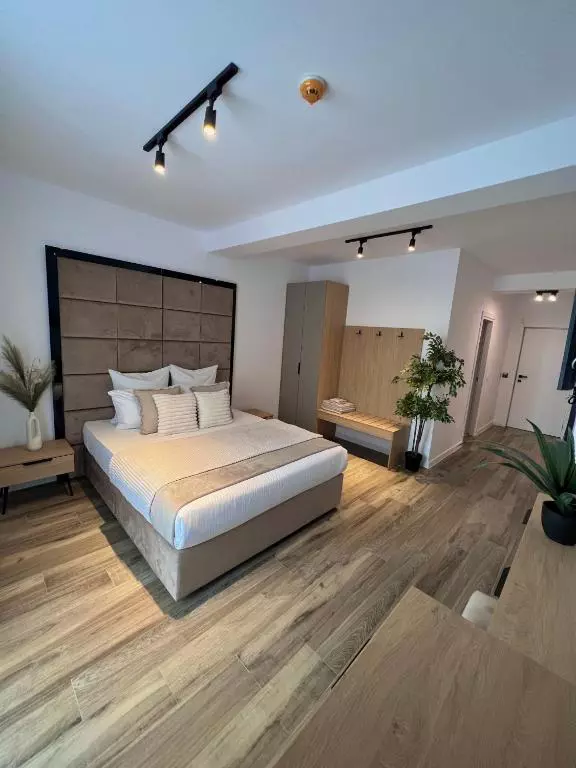 hotelul Andreei Bănică din Eforie Nord (5)