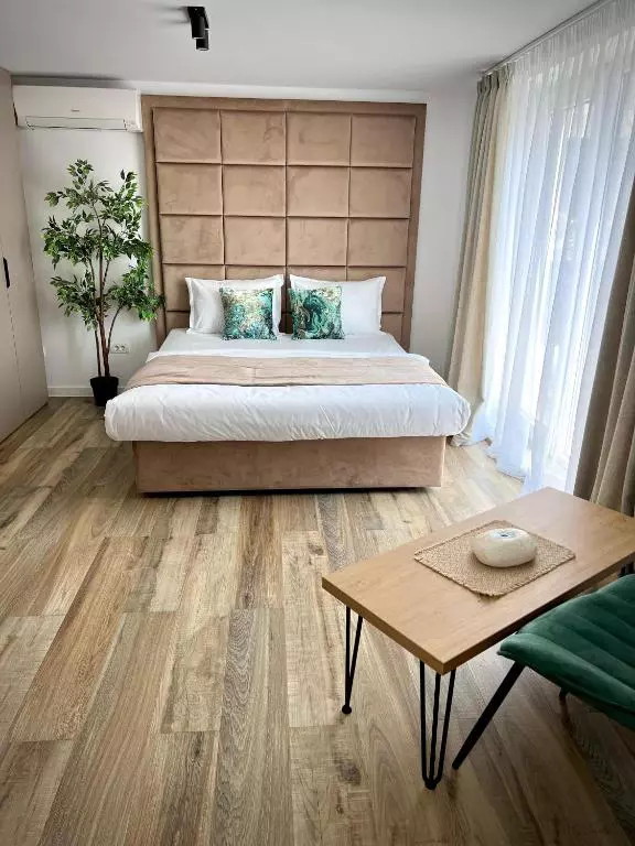 hotelul Andreei Bănică din Eforie Nord (6)