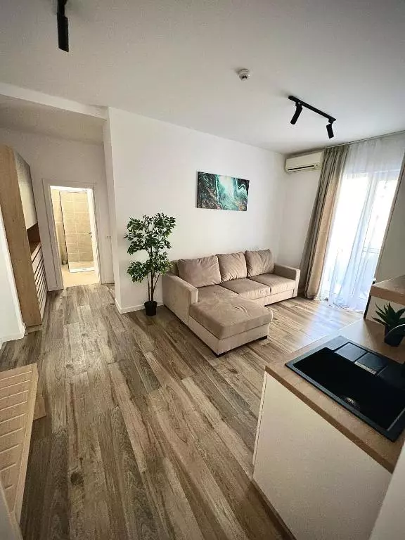 hotelul Andreei Bănică din Eforie Nord (7)