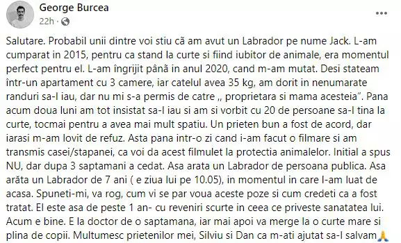 andreea-balan-amenintata-3