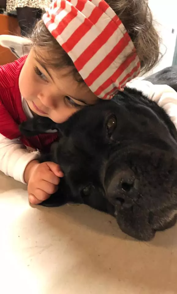 133955807_229082355515635_4186531927052726042_n