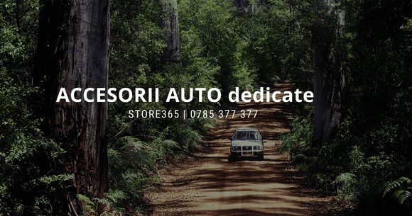 (P) Accesorii auto dedicate pe Store365