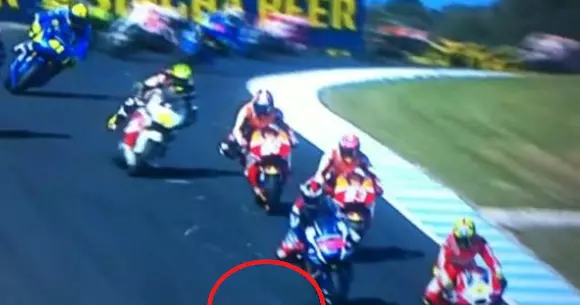 Cum a sfârșit un pescăruș pe pista de motociclism, la Marele Premiu al Australiei | VIDEO