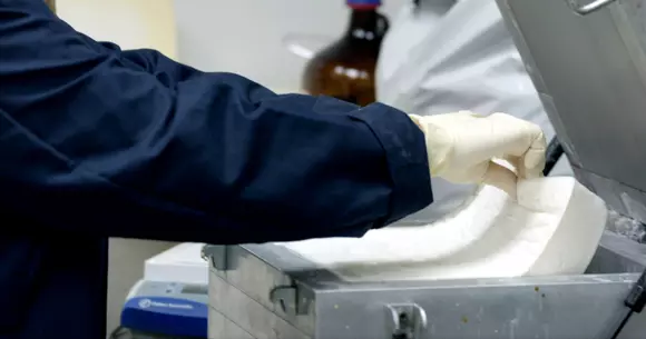 Între timp, Ford mai bifează o premieră "eco" în domeniul auto