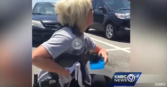 Nu mai lăsați animalele de companie încuiate în mașină!