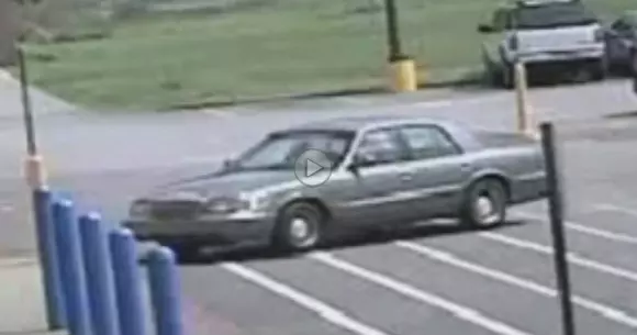 Dovada că patrupedele pot cauza accidente când sunt la volan