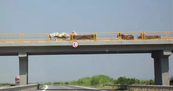 3 lucruri pe care le vezi mai ales pe șoselele din România