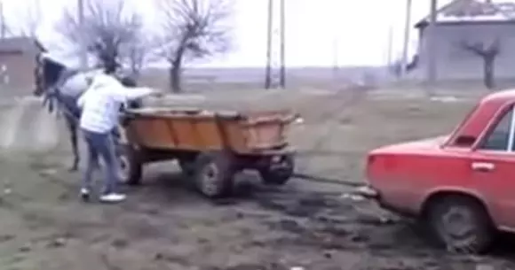 Un cal putere trage mai tare decât o Lada | VIDEO