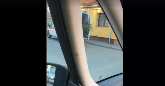 Ce mai poți transporta cu ambulanța? Brazi, în Satu Mare!