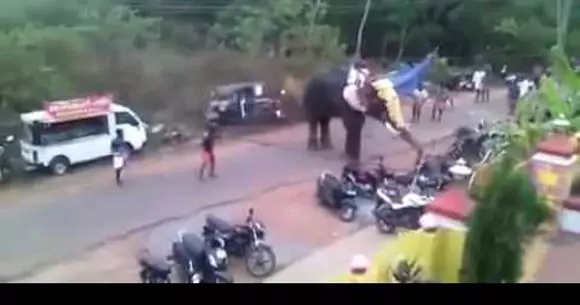 Un elefant furios distruge tot ce-i iese în cale. Inclusiv mașinile și motocicletele parcate pe marginea drumului