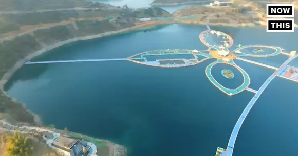 Cel mai lung pod plutitor din lume a intrat în Cartea Recordurilor