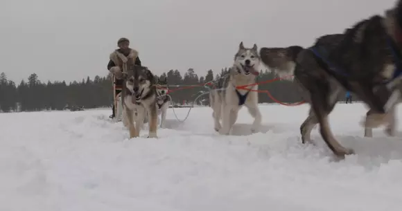 SEAT Leon Cupra ST se întrece cu câinii pe un lac înghețat