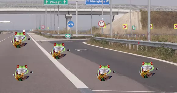Autostrada Pitești-Sibiu nu se construiește din pricina broaștelor. Cum e posibil?