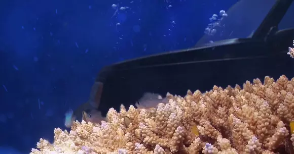 Așa arată cel mai tare anunț de vânzare al unei mașini rulate