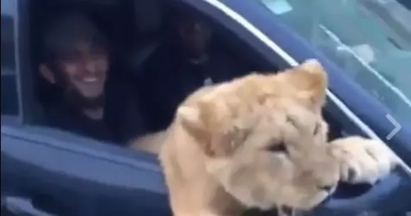 Abia acum le-ai văzut pe toate! Cum circula un rus prin țara natală? | VIDEO