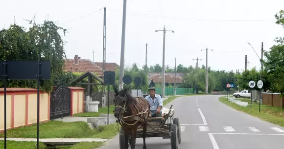 Conducerea căruței sub influența bauturilor alcoolice devine infracțiune