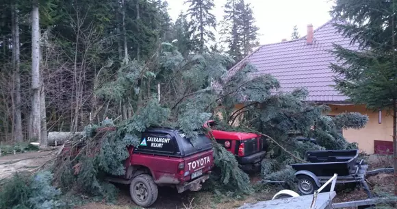 Dezastru: 72 de mașini au fost distruse în urma vijeliilor din ultimele 24 de ore