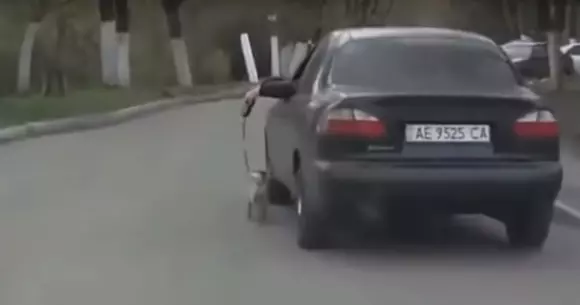 A scos maşina să plimbe câinele. Şi acesta e doar un moment din acest clip amuzant