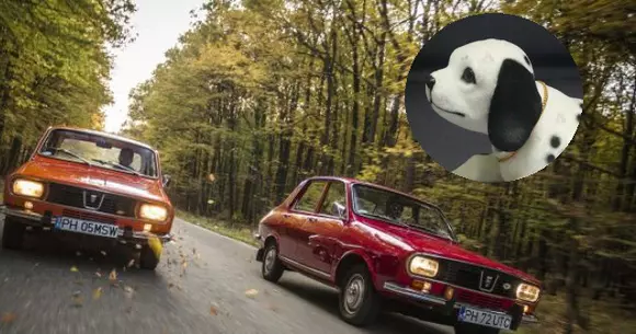 Trei lucruri care nu lipseau din mașinile ce circulau în perioada comunistă. De ce aveau unii români un ciorap de damă în torpedo?