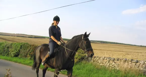 O femeie a fost arestată pentru conducere în stare de ebrietate, deși nu se afla la volan. Cum a fost posibil?