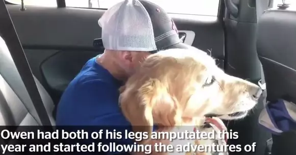 Cea mai emoționantă întâlnire a avut loc într-o mașină! | Video