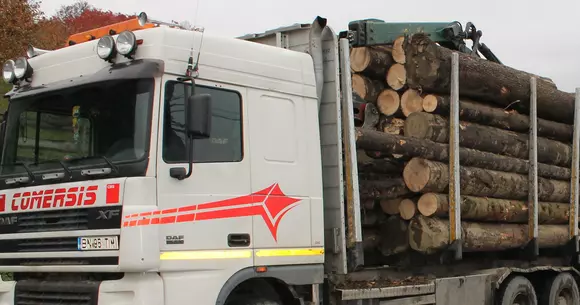 O tânără a fost amendată de poliție după ce a sunat la 112 să facă o plângere. Motivul este de-a dreptul hilar