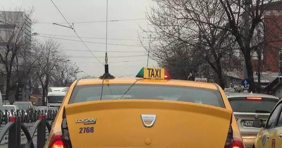 Imaginea anului în România! A mers prin tot Bucureștiul cu porcul în portbagaj