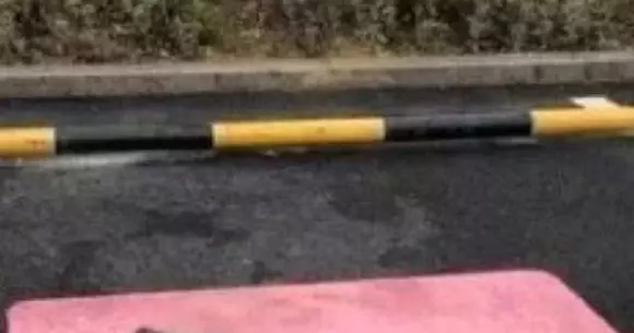 Locuri de parcare doar pentru femei! Ce țară a luat această decizie