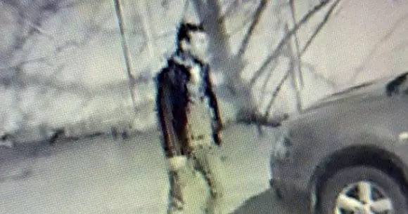 UPDATE: Piromanul din București a fost prins