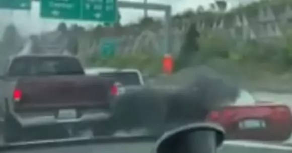 Ce poți păți dacă îi arăți semne obscene unui alt șofer (Video)