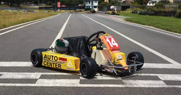 Kart-ul lui Ayrton Senna este de vânzare