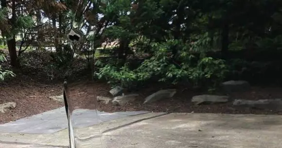 Predator s-a transformat în "mașina invizibilă" și a uimit internetul