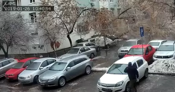 VIDEO: Momentul în care un copac strivește o mașină parcată lângă el