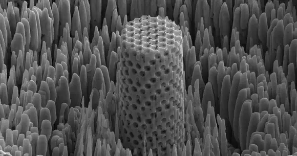 Lemnul metalic – noul material care ar putea schimba lumea auto