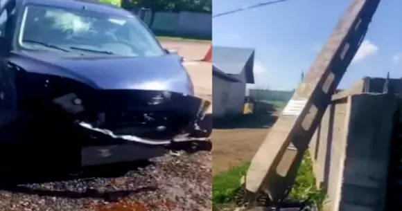 Accident absurd în Suceava - Un porc s-a urcat la volan, literalmente