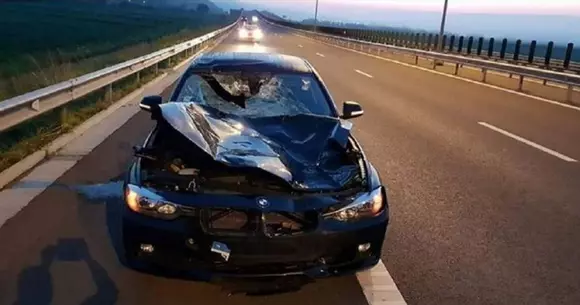 Ce poţi să loveşti pe Autostrada 10 ca să ajungi cu maşina direct la Remat?