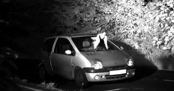 Cum a fost salvat un șofer vitezoman de o pasăre