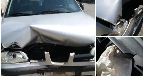 „Autostrada porcilor”! Accident absurd pe A2, provocat de mistreți