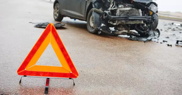 Din iubire pentru animale, acest șofer și-a făcut mașina praf