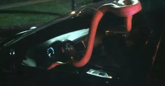 Un șofer băut a adormit la volan, iar șarpele său de 4,5 m a încercat să „evadeze” din mașină