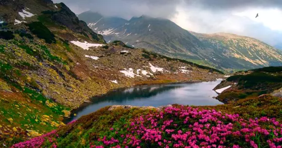 Drumul turistic care permite accesul în Masivul Retezat a fost redeschis