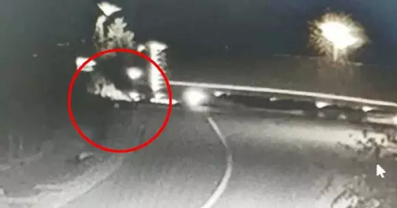 Caz bizar în Bihor, bazat pe această filmare: un șofer de TIR a fost arestat pentru omor