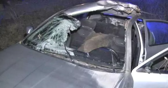 Accident ciudat pe un drum din județul Dâmbovița: cu ce s-a trezit un şofer în maşină