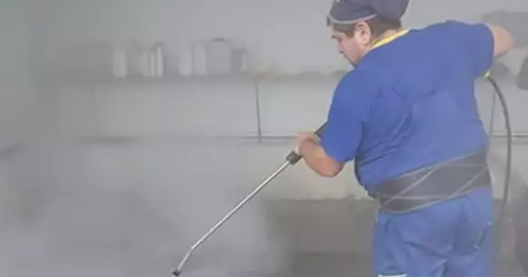 Cu porcul pârlit la spălătorie: doar exterior! (Video)