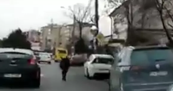 Un măgar s-a plimbat pe străzile din Ploiești. Şi nu era la volan