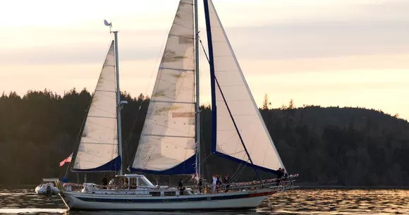 Sezonul iubirii continuă la Diva! ”Patru nunți estivale” e difuzat pe 12 iulie (P)