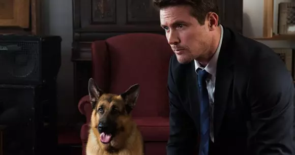 Toamna aceasta urmărește un nou sezon cu Hudson și Rex, din 1 septembrie, la Diva ( P)