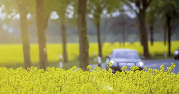 Plăcuțele de frânare, privite prin prisma sustenabilității